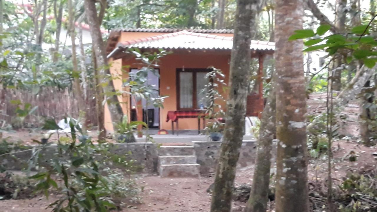Freedom Villa Hiriketiya Dikwella Rom bilde